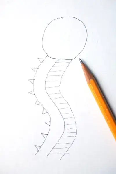 Image titled DrawSeaCreature Step 5