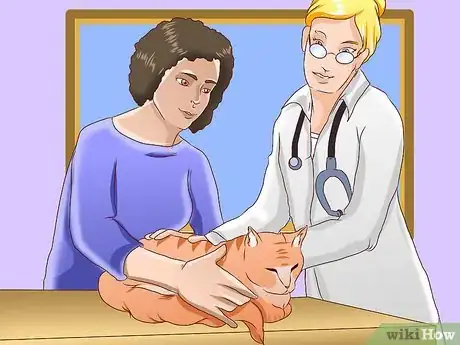 Image titled Train an Outdoor Cat to Use a Litter Box Step 16