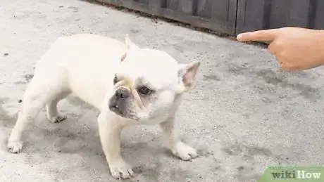 Image titled Help Puppies Learn Separation Skills Step 10