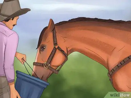 Image titled Give Your Horse the Right Supplements Step 19