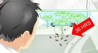 Provide a Protective Breeding Environment for Betta Fish