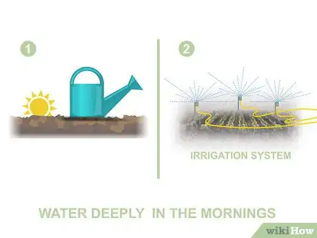 Image titled Grow Vegetables in the West Step 10