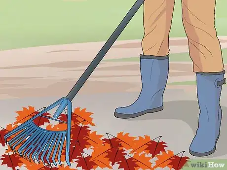 Image titled Deal with Autumn Leaves Step 2