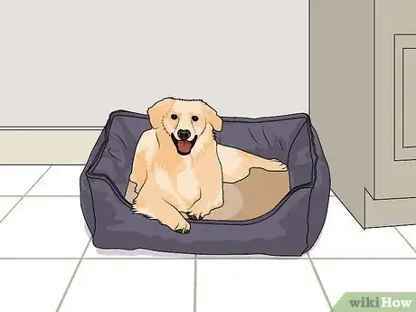 Image titled Treat Encephalitozoonosis in Dogs Step 7