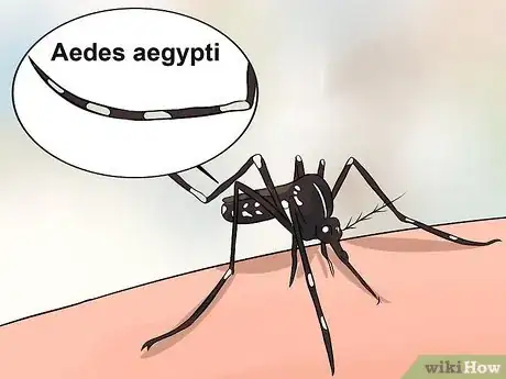 Image titled Recognize and Treat Dengue Fever Step 10