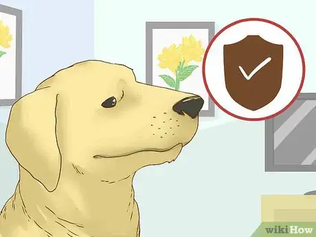 Image titled Adopt a Senior Dog Step 13