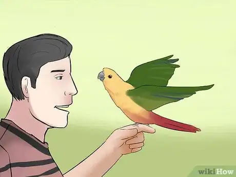 Image titled Teach a Conure to Talk Step 8