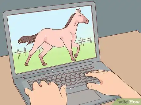 Image titled Overcome Your Fear of Horses Step 1