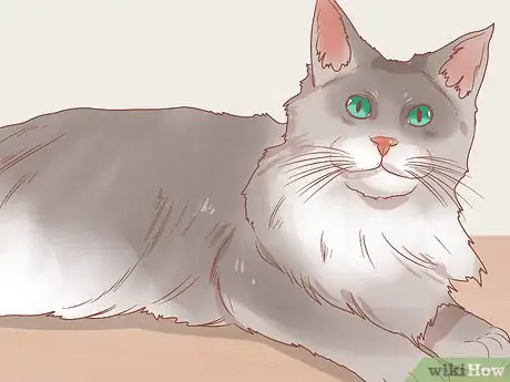 Image titled Find a Friendly Kitty Step 7