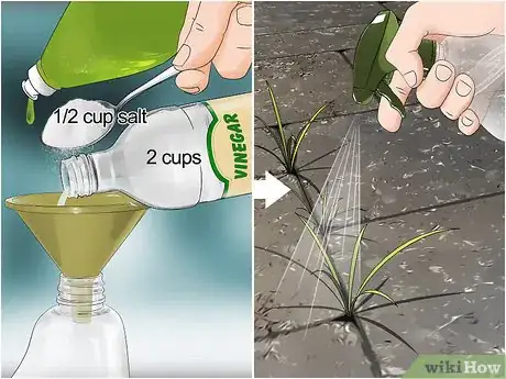 Image titled Control Lawn Weeds Step 5