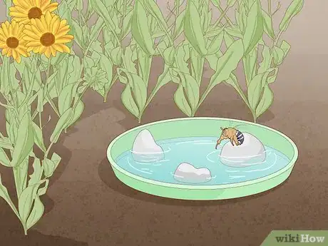 Image titled Create a Bee Friendly Garden Step 9