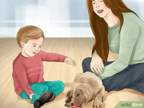 Image titled Keep Toy Breed Dogs Safe Around Kids Step 5