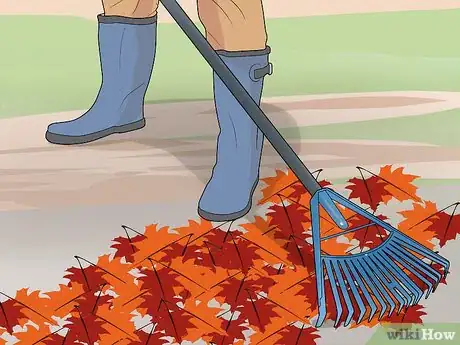 Image titled Deal with Autumn Leaves Step 6