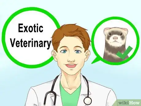 Image titled Choose a Vet for Your Ferret Step 6