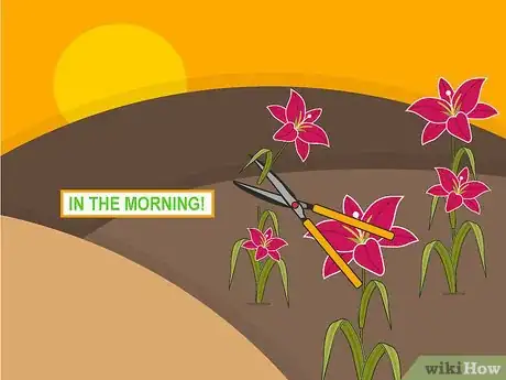 Image titled Grow Stargazer Lilies Step 16