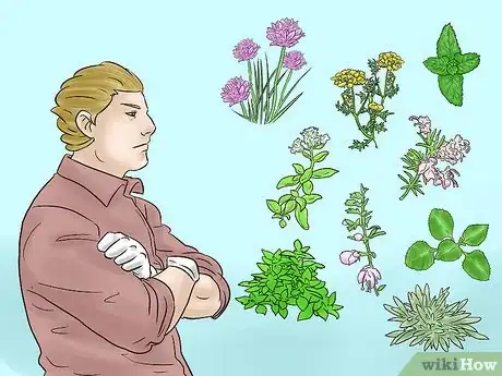 Image titled Grow Herbs Indoors Under Lights Step 1