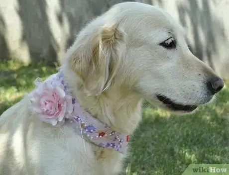 Image titled Craft a Dog Collar from an Old Shirt Step 7