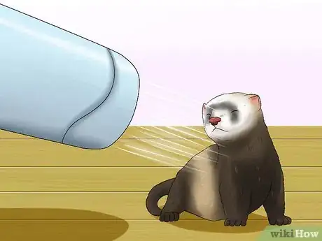 Image titled Keep Your Ferret's Hair Healthy Step 10
