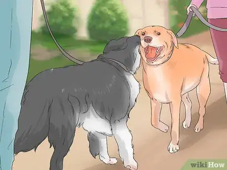 Image titled Involve a Dog in Pet Therapy Work Step 4