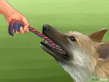 Image titled Keep an Indoor Dog Active Step 1