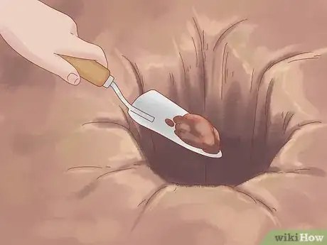 Image titled Plant a Climbing Rose Step 7