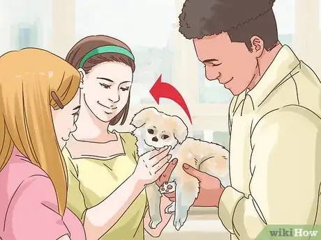 Image titled Survive the Holidays with Your Dog Step 15