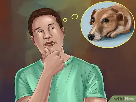 Image titled Rehome a Rescue Dog Step 1