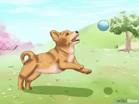 Image titled Love Your Puppy Step 7