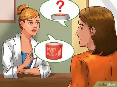 Image titled Prevent Kidney Disease in Cats Step 4