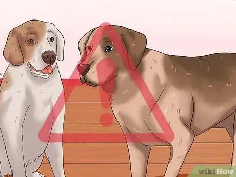 Image titled Diagnose Dog Flu Step 5