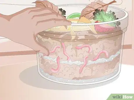 Image titled Build a Wormery Step 5