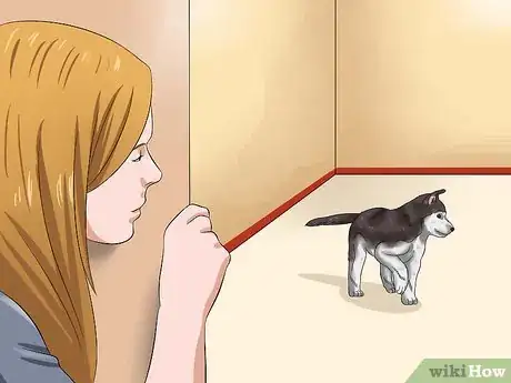 Image titled Love Your Puppy Step 6