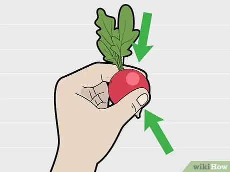 Image titled Choose Radishes Step 7