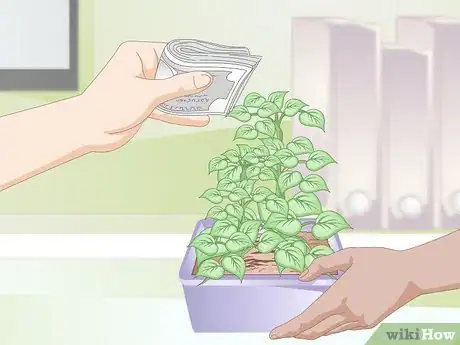 Image titled Keep an Indoor Cat Active Step 2