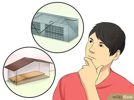 Image titled Catch an Escaped Pet Rat Step 1