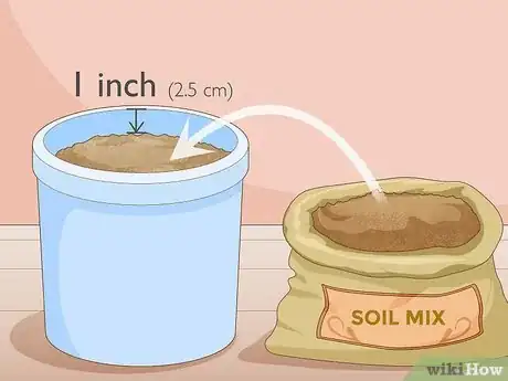 Image titled Grow Chives Indoors Step 2