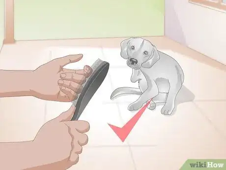 Image titled Choose Grooming Tools for an Aging Dog Step 1