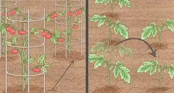 Prepare Soil for an Organic Garden