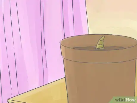 Image titled Transplant Daffodils Step 12