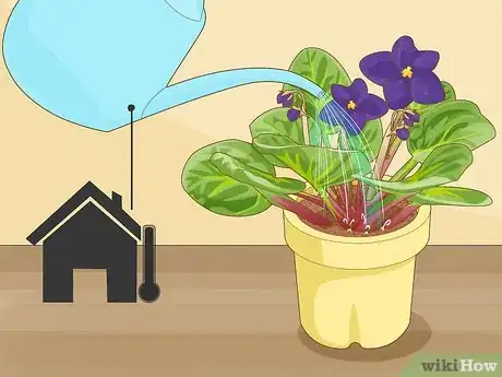Image titled Get African Violets to Bloom Step 5