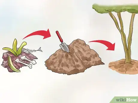 Image titled Garden in a Mediterranean Climate Step 9