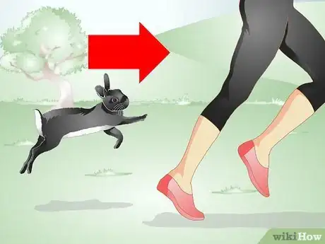 Image titled Keep Your Rabbit Slim Step 3