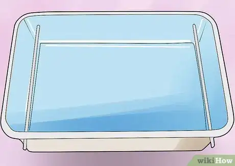 Image titled Germinate Beans on Moist Kitchen Paper Step 4