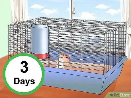 Image titled Train Your Hamster Step 1