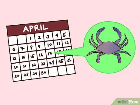 Image titled Eat a Maryland Blue Crab Step 1