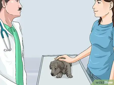 Image titled Whelp and Raise a Single Puppy Step 16