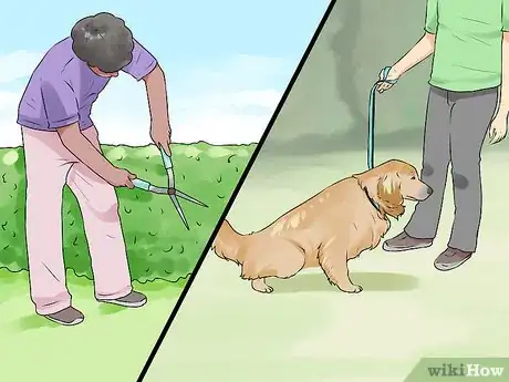 Image titled Get Help Housebreaking a Dog on a Limited Budget Step 5