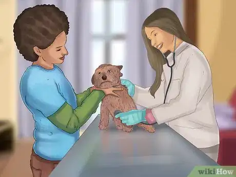 Image titled Take Pets on Beach Vacations Step 5