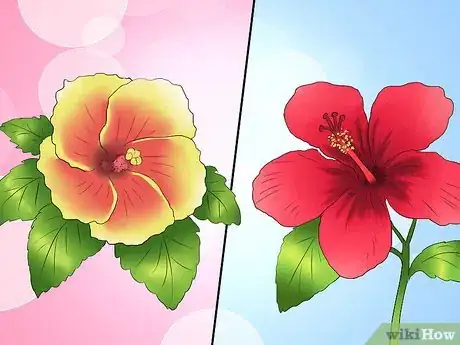 Image titled Winterize a Perennial Hibiscus Step 1