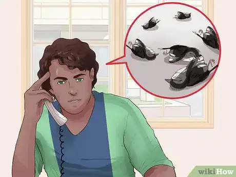 Image titled Prevent Bird Flu (Avian Influenza) Step 2